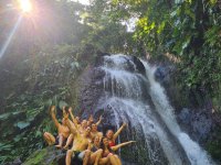 Návštěva vodopádu v džungli