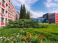 Faculty of Economics and Management