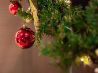 2019, Festive lighting of the Christmas tree